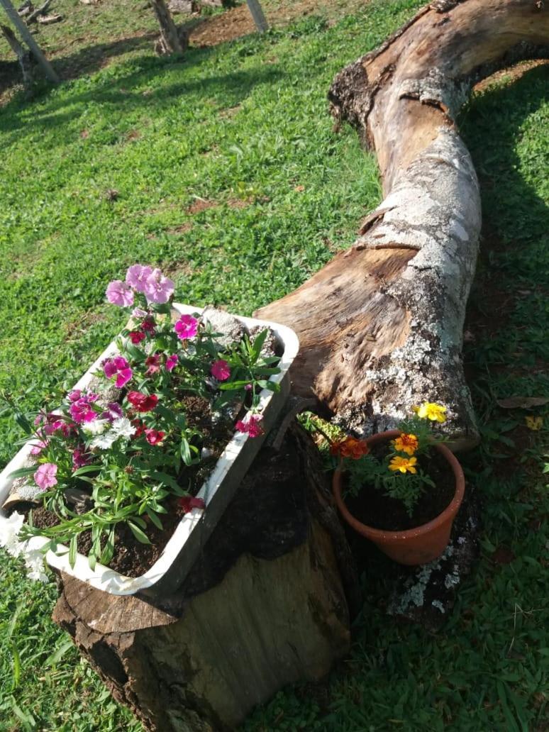 Pousada Dedo De Deus Paraisópolis Extérieur photo